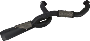 Big Sexy 2:1 Exhaust Systems Black 
