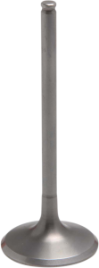 Tensilite® Engine Valve