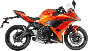 Underbody Full-system Exhaust Black, Silver, 4, nordicamoto.ro