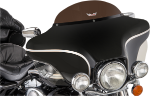 Replacement  Windshield Gray