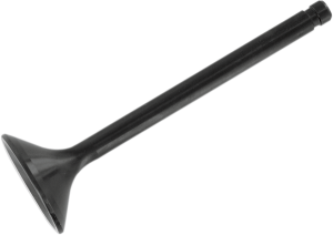 Nitrided Valve