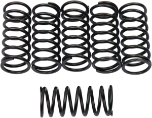 Clutch Spring Kit Black