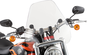 S-06 Spitfire Sport Shield Clear
