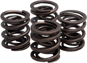 Valve Spring Kit