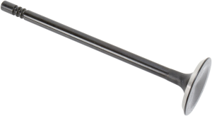 Black Diamond Engine Valve