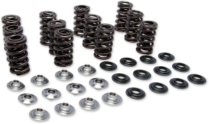 Spring Kit Racing Titanium Retainer