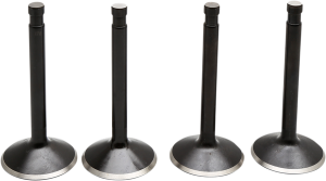 Engine Valve Kit