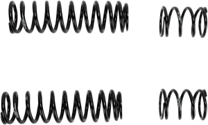 13 Series Shock Springs Black