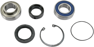 Chain Case Bearing And Seal Kit, 1, nordicamoto.ro