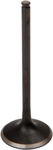 Black Diamond Engine Valve