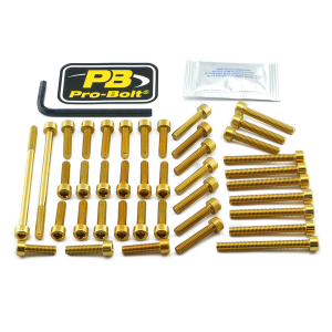 Bolt Kit Gold
