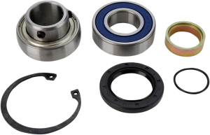 Chain Case Bearing And Seal Kit