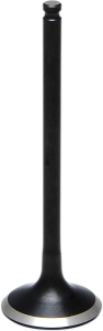 Black Diamond Engine Valve