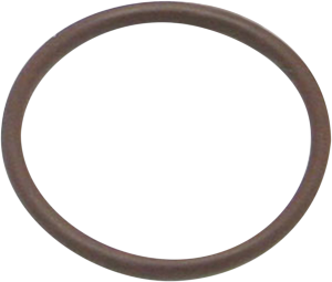 O-ring