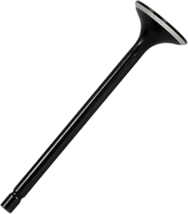 Black Diamond Engine Valve