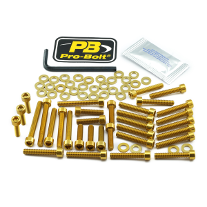 Bolt Kit Gold