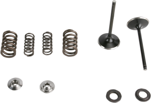 Stainless Steel Conversion Valve And Spring Kit, 1, nordicamoto.ro