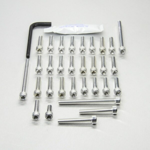 Bolt Kit Silver