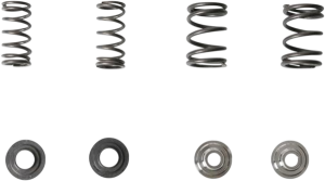 Valve Spring Kit, 1, nordicamoto.ro