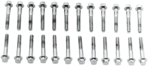 Valve Cover Screw Kit Silver
