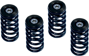 Clutch Spring Kit Black, Powder-coated, Anodized