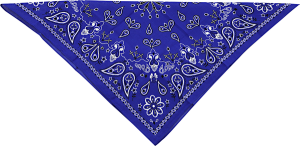 Cotton Bandana Blue, 3, nordicamoto.ro
