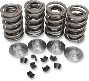 Complete Valve Spring Kit, 1, nordicamoto.ro
