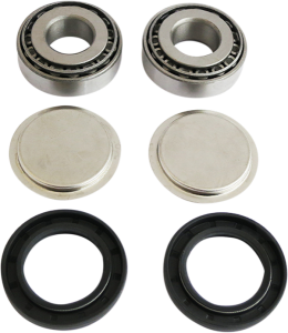 Swingarm Repair Kit