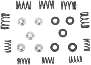Valve Spring Kit, 1, nordicamoto.ro