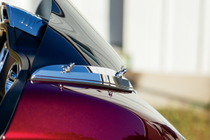 Windshield Spikes Silver