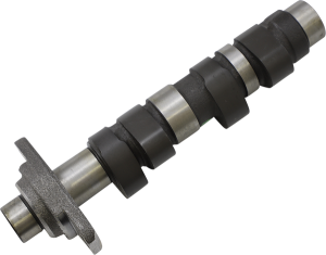 Intake/exhaust Camshaft
