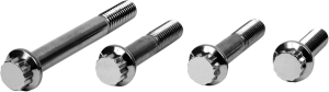 Bolt Kit,frt Calpr 06vrod Silver, 1, nordicamoto.ro