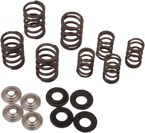 Valve Spring Kit, 1, nordicamoto.ro