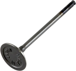 Motor szelep