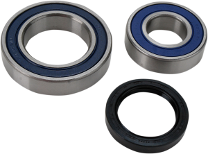 Chain Case Bearing And Seal Kit
