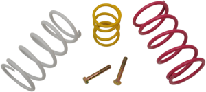 Economy Clutch Kit