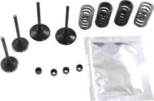 Valve Kit