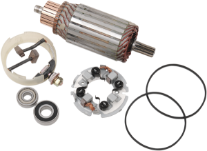 Starter Motor Rebuild Kit