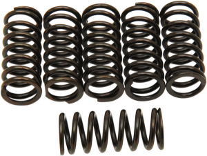 Clutch Spring Kit Black, 1, nordicamoto.ro