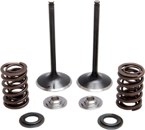 Stainless Steel Conversion Valve And Spring Kit