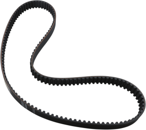 Rear Drive Belt