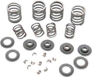 Valve Spring Kit, 1, nordicamoto.ro