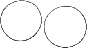 Starter O-ring