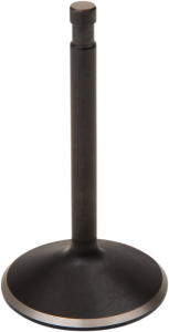 Nitrided Valve