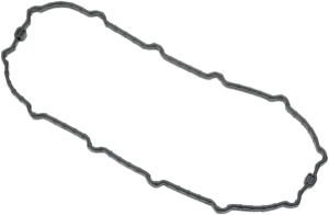 Fuel Pump Door Seal Gray