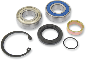 Chain Case Bearing And Seal Kit