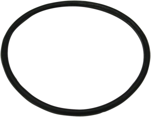 O-ring