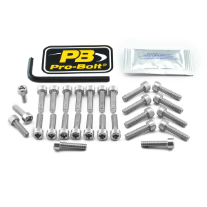 Bolt Kit Silver