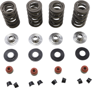 Lightweight Racing Valve Spring Kit