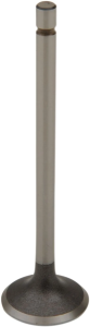 Motor szelep